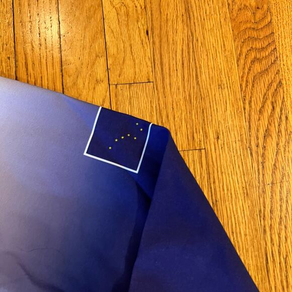 Podium Wear Jacket Womens Small Alaskan Team Purple White Performance Running - Picture 3 of 9